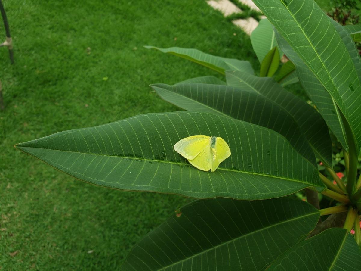 Pousada Das Orquideas Chapada dos Guimarães Екстериор снимка